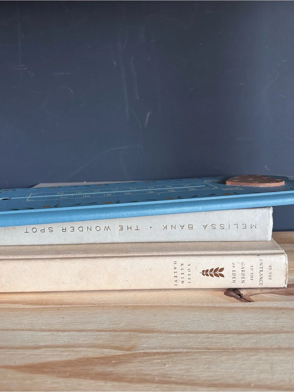 Cottagecore Handpainted Vintage Thermometer